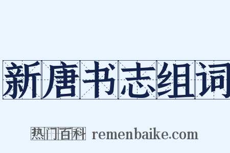 新唐书志组词是什么意思的图片